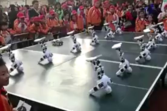 Alpha 集體表演
